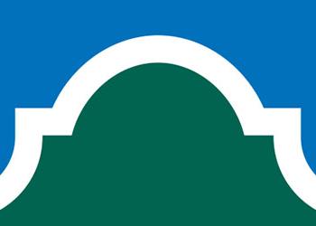 Blue and Green Alamo Logo